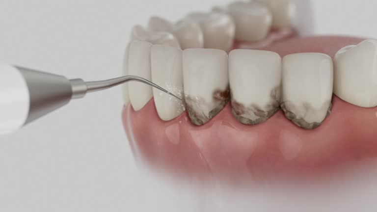 Reliable Dental contractor in Broadview Park, FL by Dentist Open Now